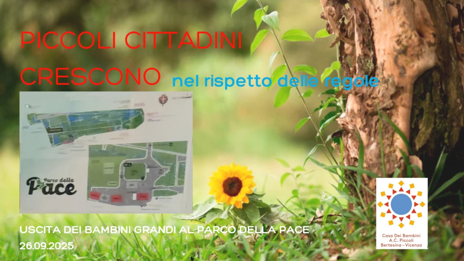 allegato 1.jpg