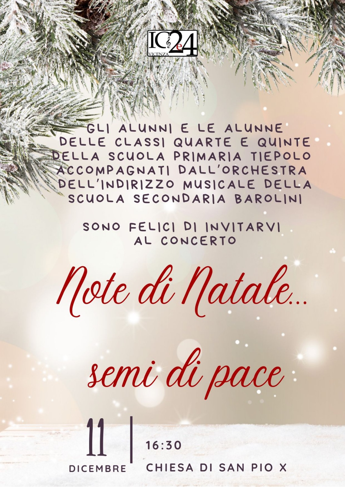 WhatsApp Image 2025-12-10 at 09.01.16.jpeg